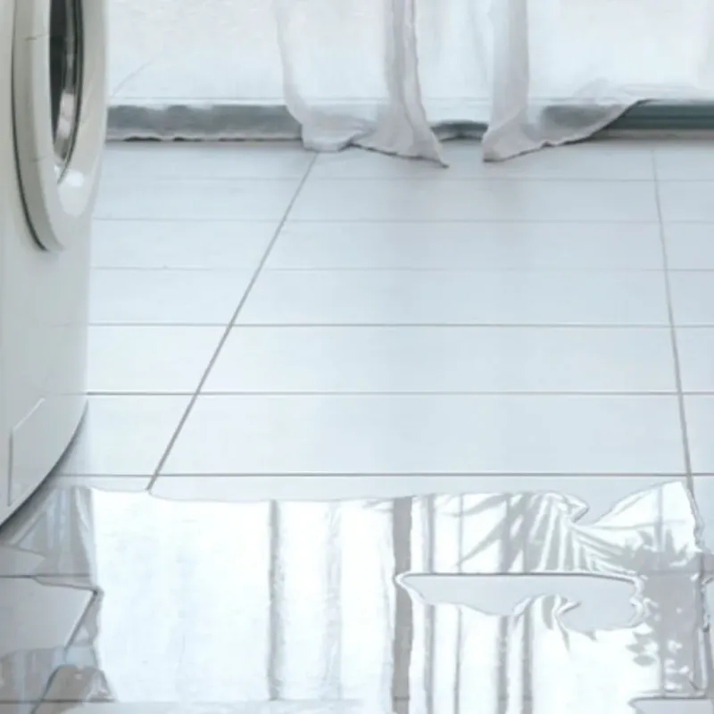 Appliance Leak Cleanup in Spring Valley, TX