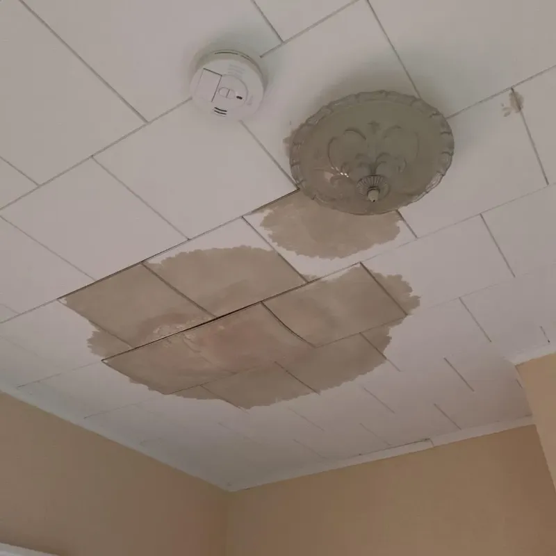 Ceiling Water Damage Repair in Spring Valley, TX